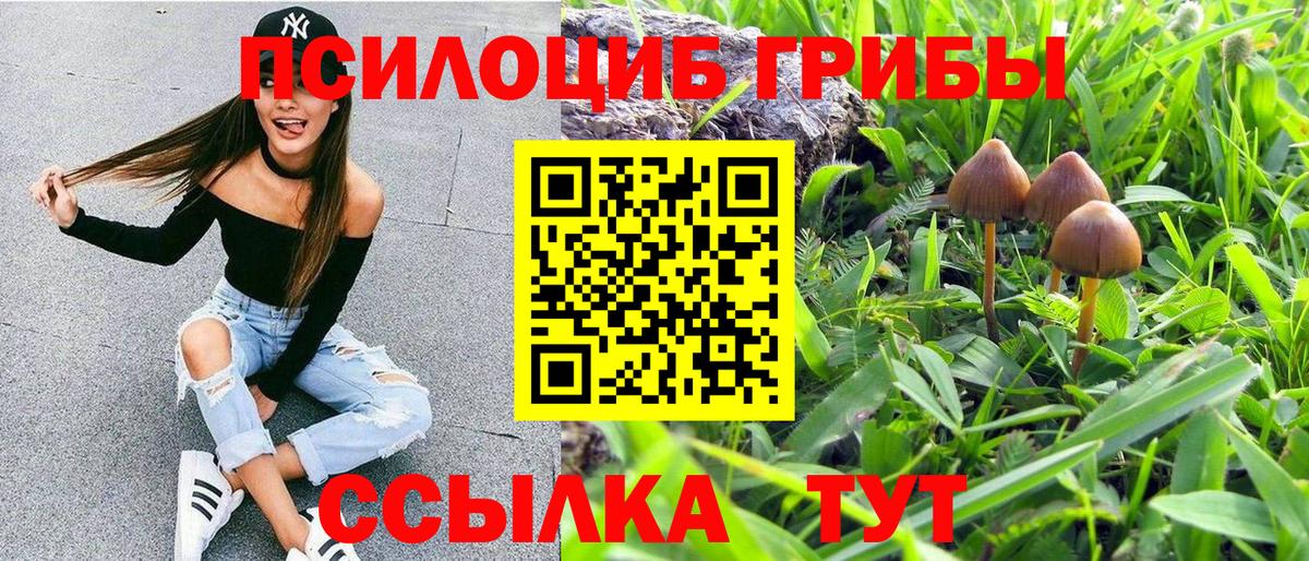 Галлюциногенные грибы Psilocybine cubensis Сибай