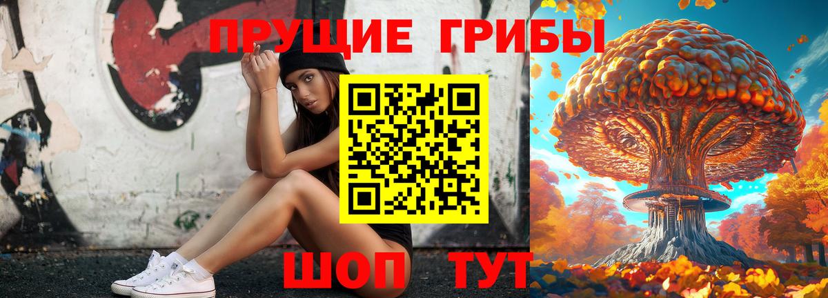 Псилоцибиновые грибы ЛСД  Вход с VPN  Псилоцибиновые грибы мухоморы  Сибай 